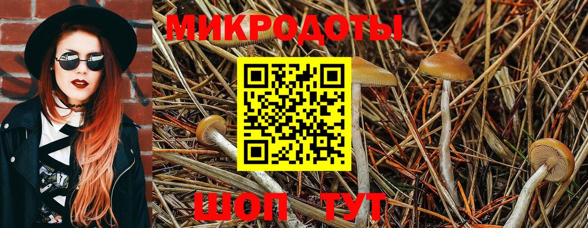 где найти наркотики  Гагарин  Галлюциногенные грибы GOLDEN TEACHER 