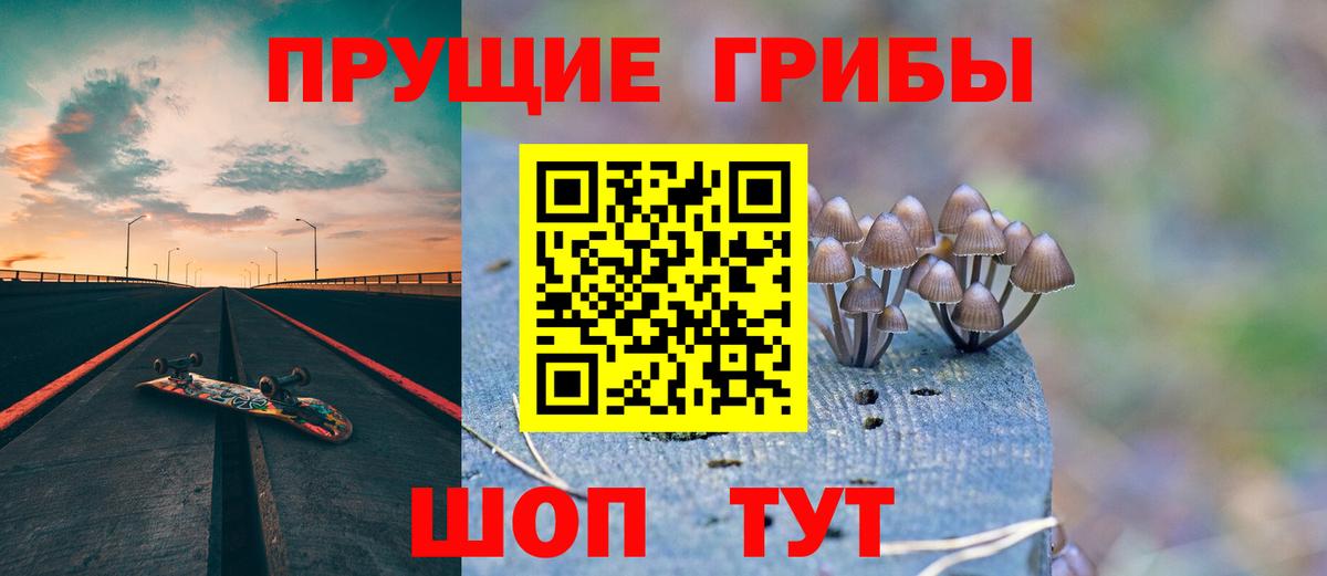 Псилоцибиновые грибы мицелий Гагарин