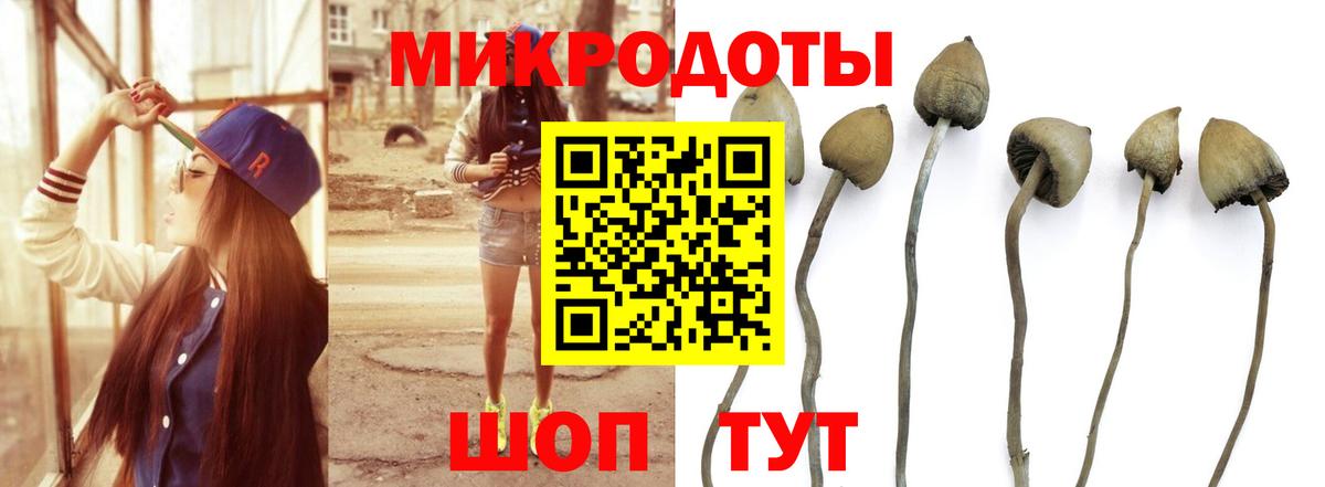 Гагарин  Галлюциногенные грибы прущие грибы  Вход с VPN 