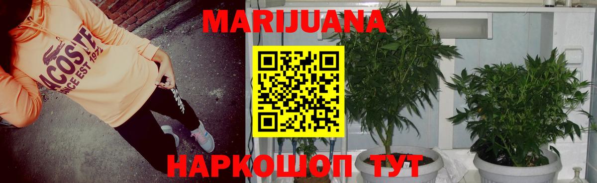 Шишки марихуана тримм Гагарин